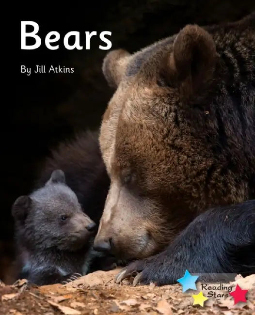 Bears by Jill Atkins