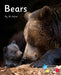 Bears by Jill Atkins
