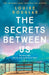 The Secrets Between Us by Louise Douglas