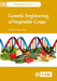 Genetic Engineering of Vegetable Crops by Kalia, Pritam
