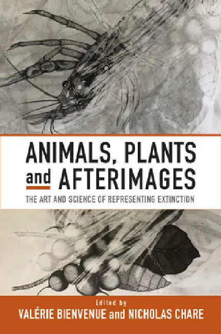 Animals, Plants and Afterimages: The Art and Science of Representing Extinction by Valérie Bienvenue