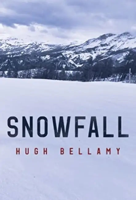 Snowfall by Hugh Bellamy