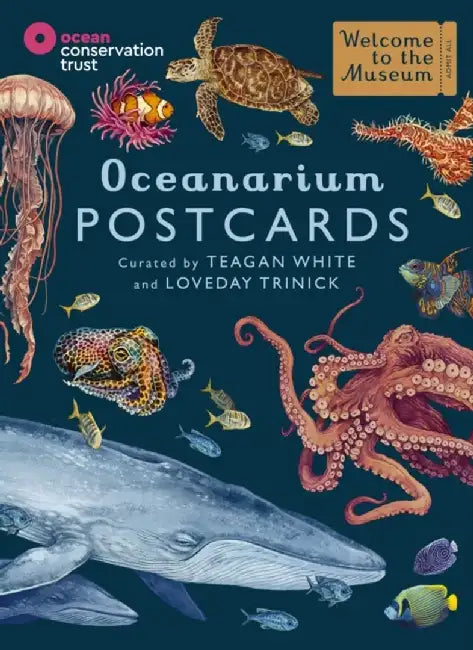 Oceanarium Postcards by Loveday Trinick