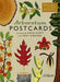 Arboretum Postcards by Royal Botanic Gardens Kew PLG