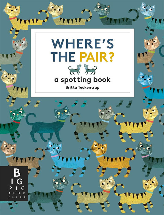 Where's the Pair?