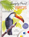 Simply Birds: A Complete Watercolour Course for Beginners by Tom Shepherd