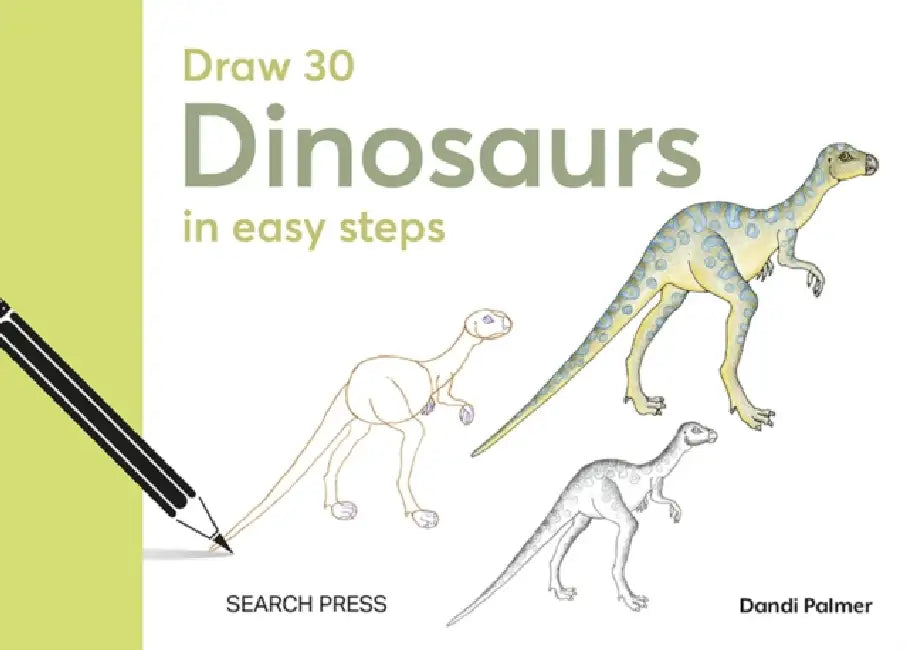 Draw 30: Dinosaurs: In Easy Steps by Dandi Palmer