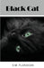 Black Cat by S. M. Flanagan