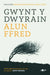 Gwynt y Dwyrain by Alun Ffred Jones