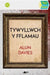 Stori Sydyn: Tywyllwch y Fflamau by Alun Davies