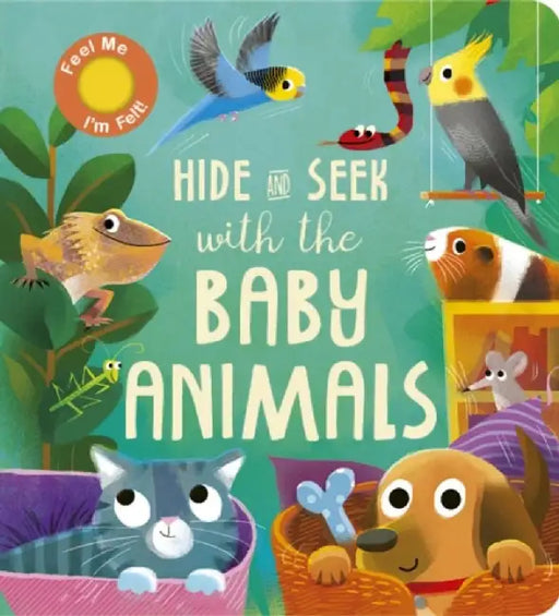 Hide and Seek with the Baby Animals by Molly Littleboy