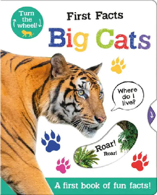First Facts Big Cats by Bethany Carr