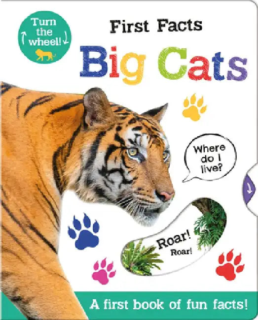 First Facts Big Cats by Bethany Carr