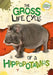 The Gross Life Cycle of a Hippopotamus by William Anthony