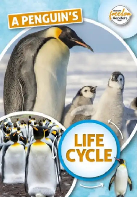 A Penguin's Life Cycle by Madeline Tyler