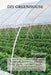 DIY Greenhouse: The Step By Step Guide To Build A Year-Round Solar Greenhouse And Grow Herbs, Organic Fruits And Vegetables, Plants, A by Richard Jones