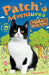 Patch's Adventures: Patch the Lucky Kitten by Charlotte Li