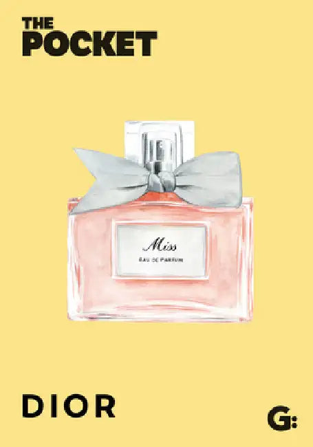 The Pocket Dior by Gemini