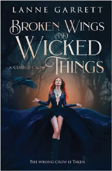 Broken Wings and Wicked Things by Garrett, Lanne