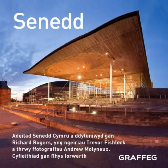 Senedd by Trevor Fishlock