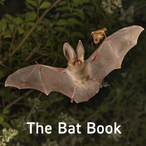 The Bat Book by Hugh Warwick