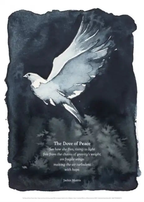 The Dove Of Peace Poster by Jackie Morris