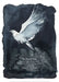 The Dove Of Peace Poster by Jackie Morris