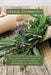 Herbal Antibiotics: Beginners Guide to Using Herbal Medicine to Prevent, Treat and Heal Ilness with Natural Antibiotics and Antivirals by Thomas Watson