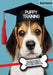 Puppy Training: An Essential Guide for Everything You Need to Know To Train A Perfect Dog. by Kevin Parker