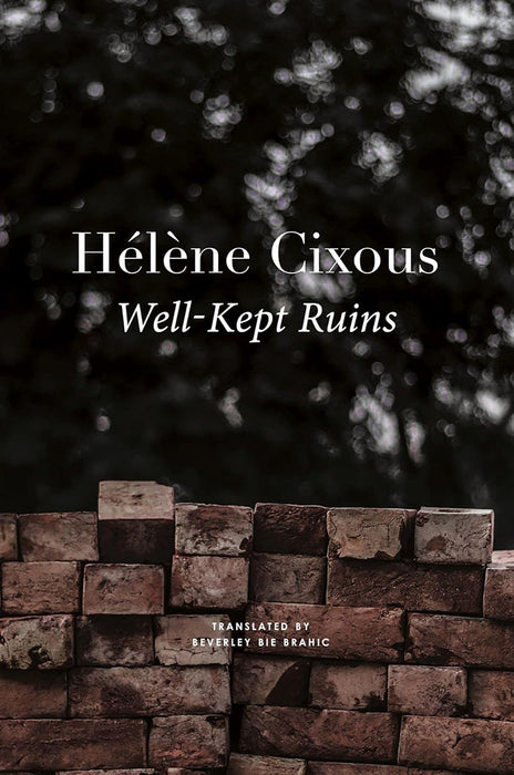 Well-Kept Ruins by Beverley Bie Brahic