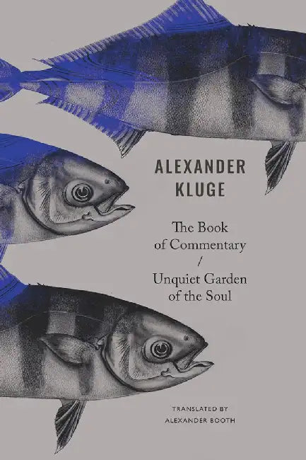 The Book Of Commentary Unquiet Garden Of The Soul by Alexander Kluge