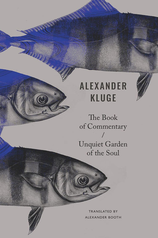 The Book Of Commentary Unquiet Garden Of The Soul by Alexander Kluge