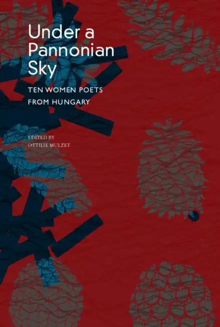 Under a Pannonian Sky: Ten Women Poets from Hungary by Ottilie Mulzet
