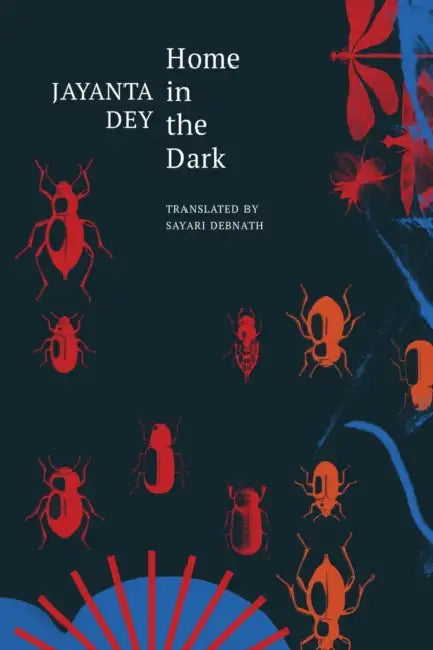 Home In The Dark by Jayanta Dey