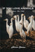 If you love animals: Pass the time by Alison Steven