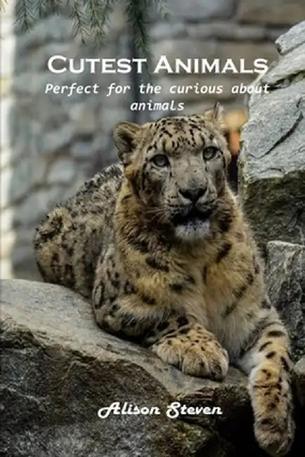 Cutest Animals: Perfect for the curious about animals by Alison Steven