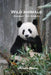 Wild animals: Discover the animals by Alison Steven