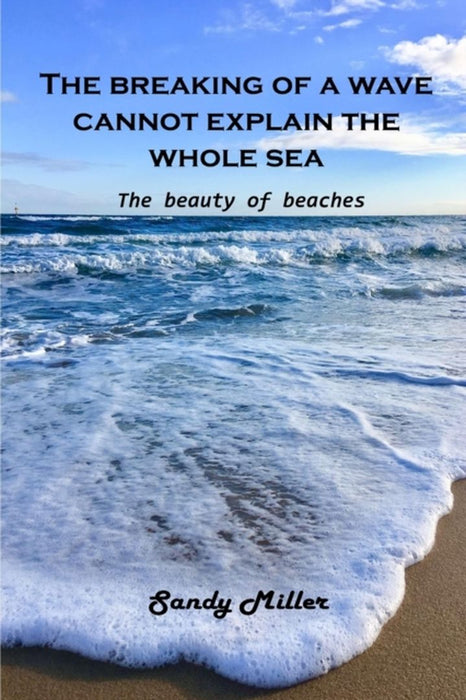 The breaking of a wave cannot explain the whole sea: The beauty of beaches by Sandy Miller