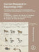 Current Research in Egyptology 2022 by A. Bouhafs