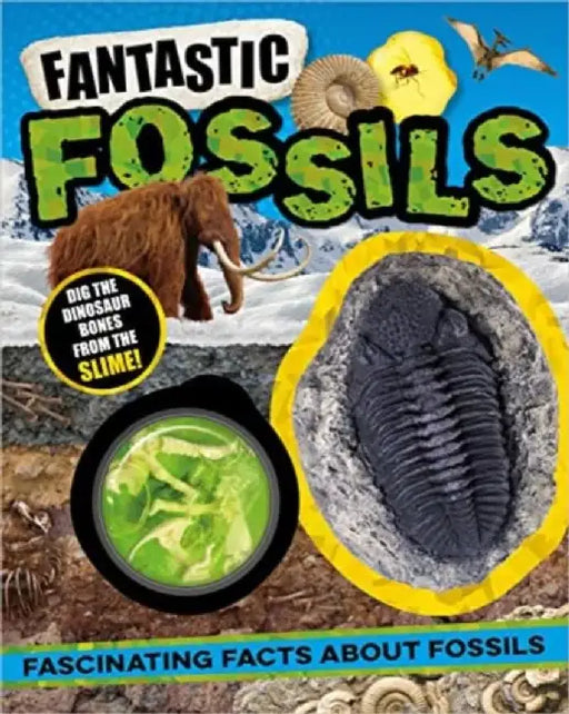 Non-Fiction Books Fantastic Fossils by Laura Baker