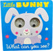 What Can You See? Little Bunny What Can You See? by Make Believe Ideas