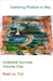 Gathering Photons in May: Collected Sonnets Volume One by Du Toit, Basil