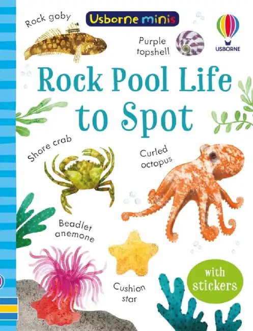 Rock Pool Life to Spot by Simon Tudhope