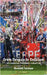 From Despair to Delirium: Two Seasons that Transformed a Football Club by Falshaw, Howard
