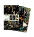 Ashmolean Museum Set of 3 Mini Notebooks by Flame Tree Studio