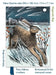 Angela Harding: Shooting Stars (Foiled Quarto Journal) by Flame Tree Studio