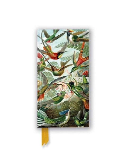 Ernst Haeckel: Hummingbirds (Foiled Slimline Journal) by Flame Tree Studio