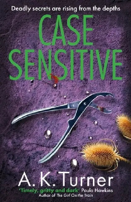 Case Sensitive: A Gripping Forensic Mystery Set in Camden Volume 3 by A. K. Turner