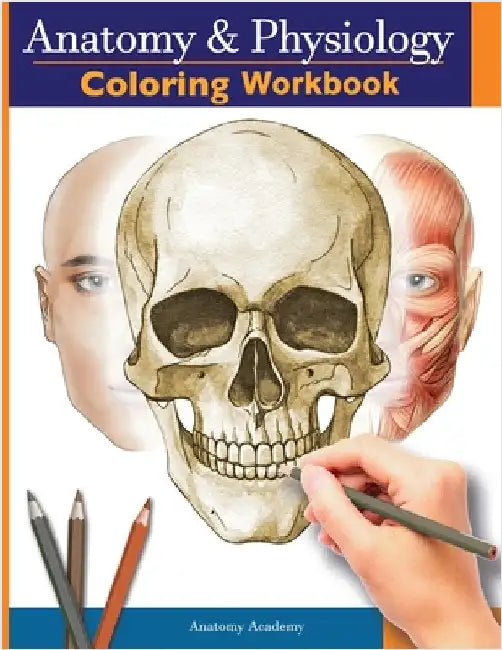 Anatomy and Physiology Coloring Workbook: The Essential College Level Study Guide Perfect Gift for Medical School Students, Nurses and Anyone Interest by Academy, Anatomy