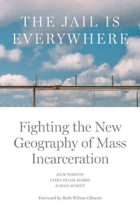 The Jail Is Everywhere: Fighting the New Geography of Mass Incarceration